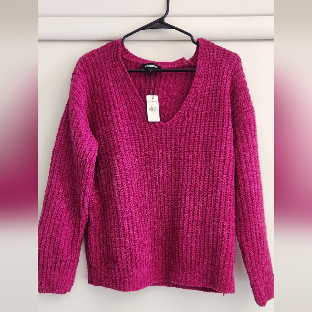 NWT Express chenille sweater